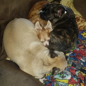 Meet your Posher, Sherry